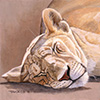 Sleeping Lion 2